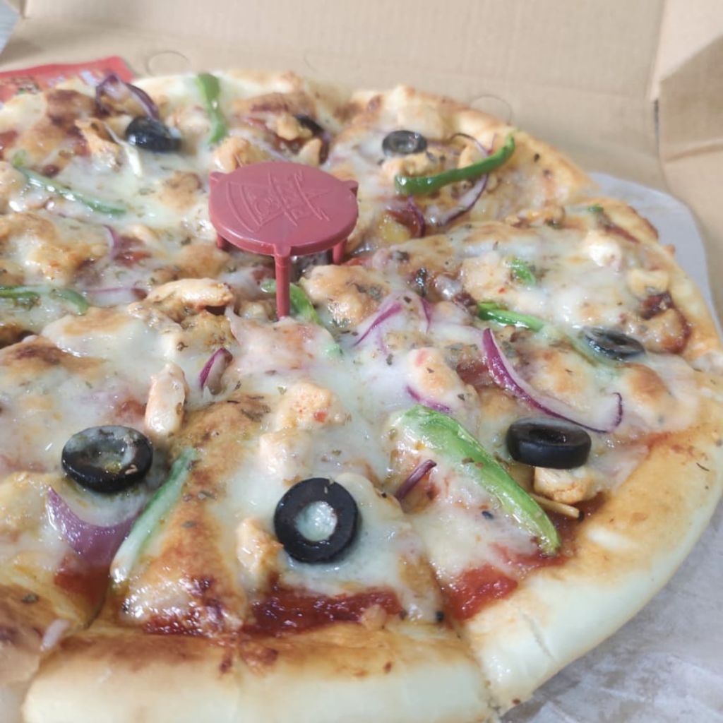 bake & cook homemade pizza