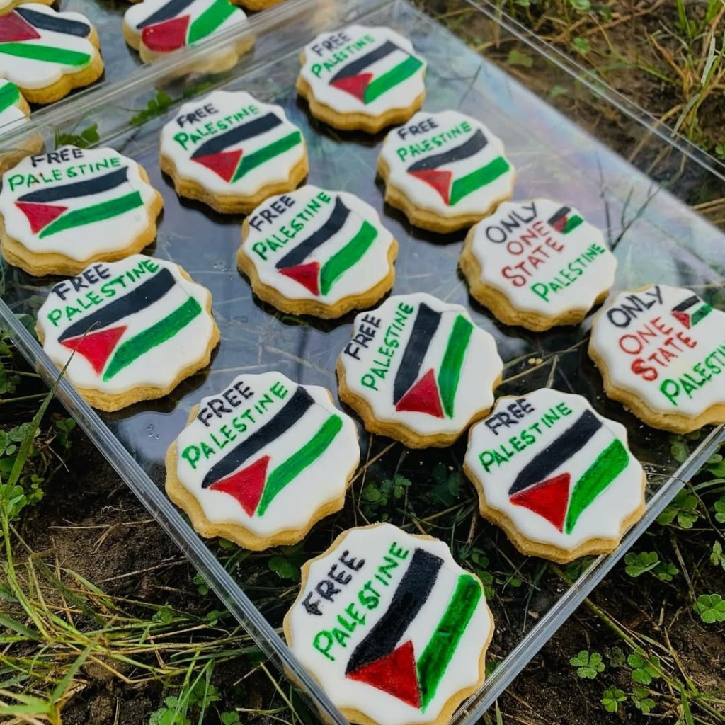 Hand painted free Palestine cookies available in lahore