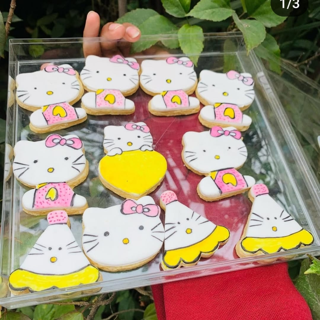 hand painted doll cookies for baby girl