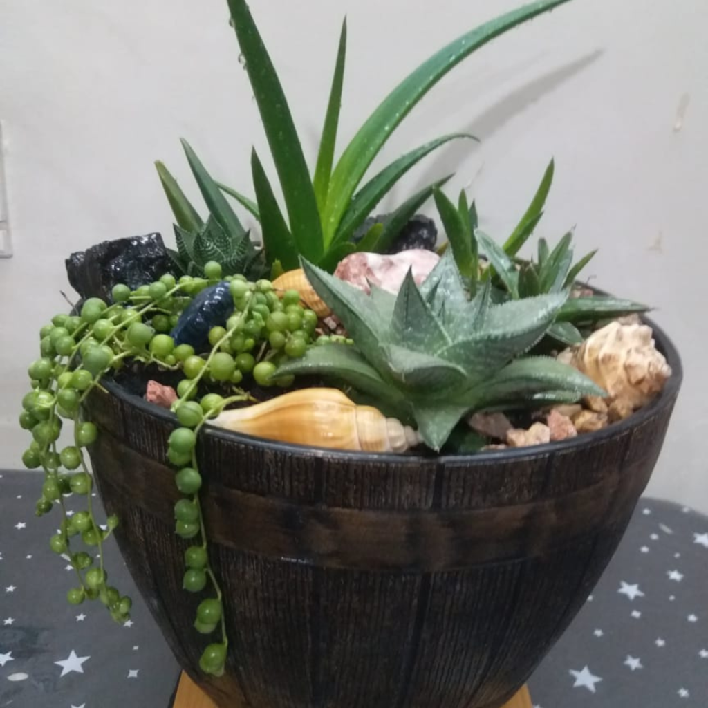 Succulent arrangement 4