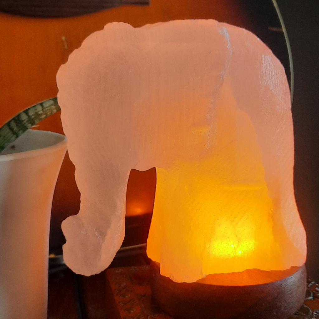 Elephant 5×4.5×3 Warm Light USB lahore